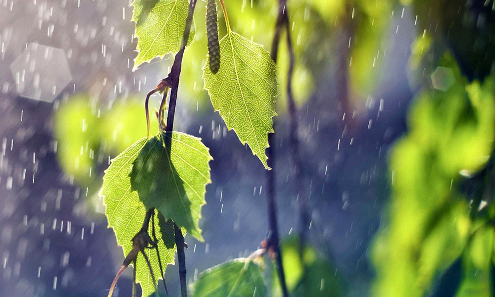 Weather forecast for nighttime 02nd May and full day of 03rd May, 2025